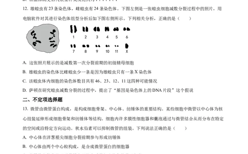 湖南省衡阳市第八中学2023-2024学年高三上学期第二次月考生物(1)_2023年10月_01每日更新_26号_2024届湖南省衡阳市第八中学高三上学期第二次月考
