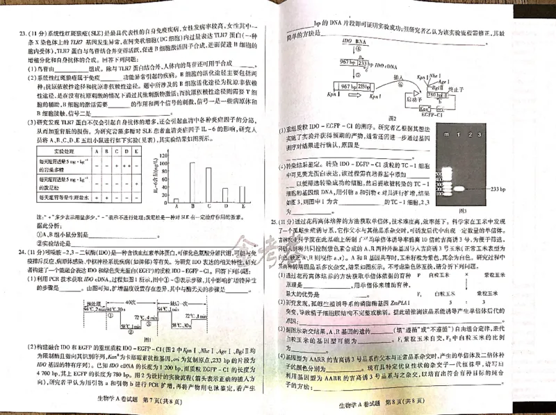 生物_2024高考押题卷_12024天星全系列_@@@天星临考押题密卷汇总重复_2024年tx高考临考押题密卷吉林专版_试卷