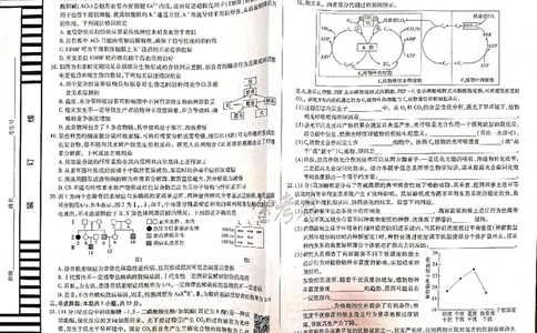 生物_2024高考押题卷_12024天星全系列_@@@天星临考押题密卷汇总重复_2024年tx高考临考押题密卷吉林专版_试卷