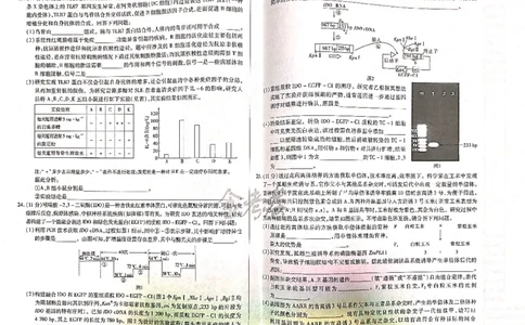 生物_2024高考押题卷_12024天星全系列_@@@天星临考押题密卷汇总重复_2024年tx高考临考押题密卷吉林专版_试卷