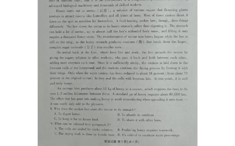 2025届广东衡水金卷新高三8月开学联考英语试卷（无答）(1)_8月_2408032025届广东衡水金卷新高三8月开学联考