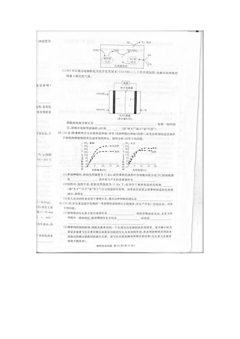 2023届炎德英才长郡十八校联盟高三第一次联考（全国卷）理综(1)_2024年2月_022月合集_2023届长郡十八校联盟高三第一次联考（全国卷）江西全科