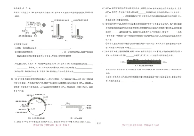 王后雄高考押题预测卷2024黑龙江专版-生物_2024高考押题卷_22024王hou雄_16王后雄押题_2024年王后雄高考押题预测卷（黑龙江专版）