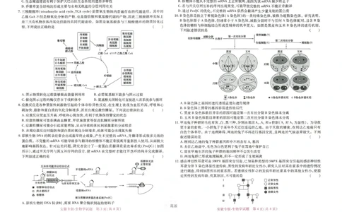 王后雄高考押题预测卷2024安徽专版-生物_2024高考押题卷_22024王hou雄_（新高考）2024王后雄押题预测卷（分科版）_6.生物