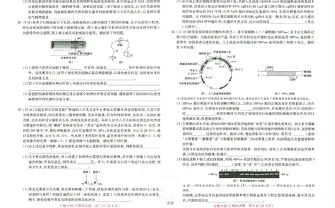 王后雄高考押题预测卷2024安徽专版-生物_2024高考押题卷_22024王hou雄_（新高考）2024王后雄押题预测卷（分科版）_6.生物
