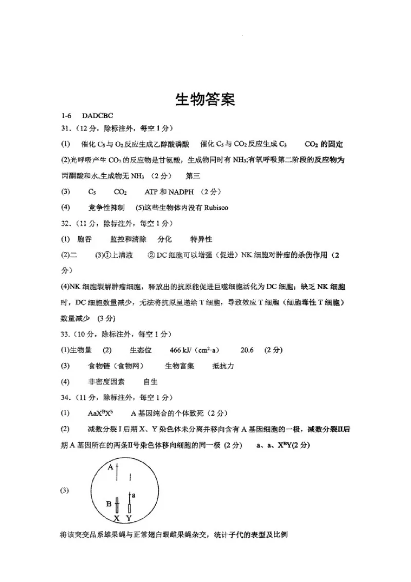 2023-2024学年第二学期晋城一中高三开学考理综试题答案_2024年3月_013月合集_2024届山西省晋城市第一中学校高三下学期开学考试