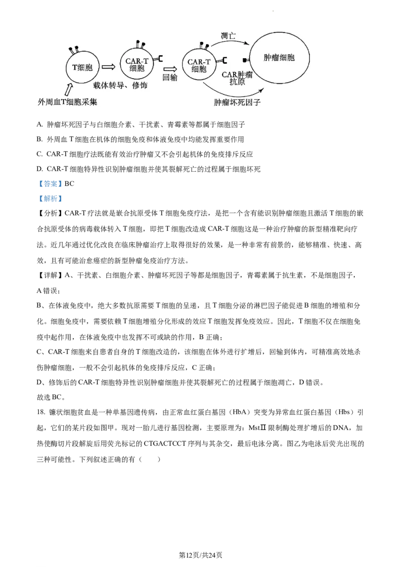 精品解析：江苏省海安高级中学2023-2024学年高三10月月考生物试题（解析版）(1)_2023年10月_0210月合集_2024届江苏省海安高级中学2高三上学期10月月考