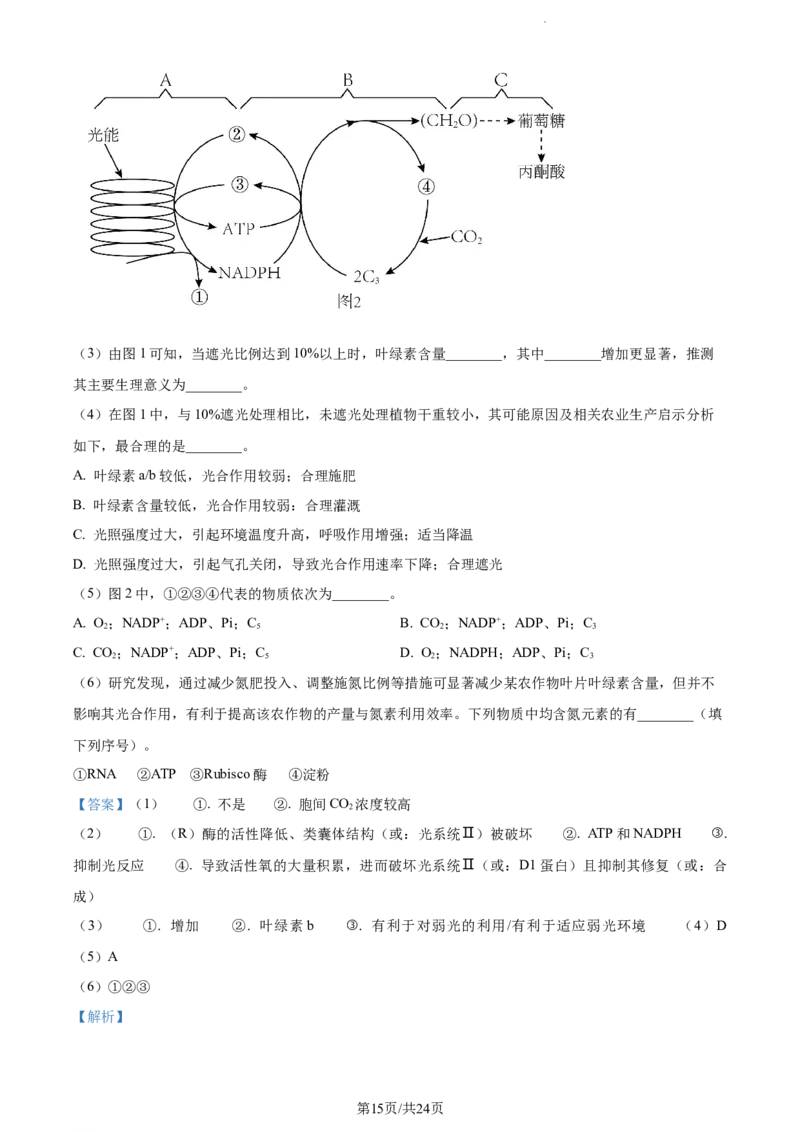 精品解析：江苏省海安高级中学2023-2024学年高三10月月考生物试题（解析版）(1)_2023年10月_0210月合集_2024届江苏省海安高级中学2高三上学期10月月考