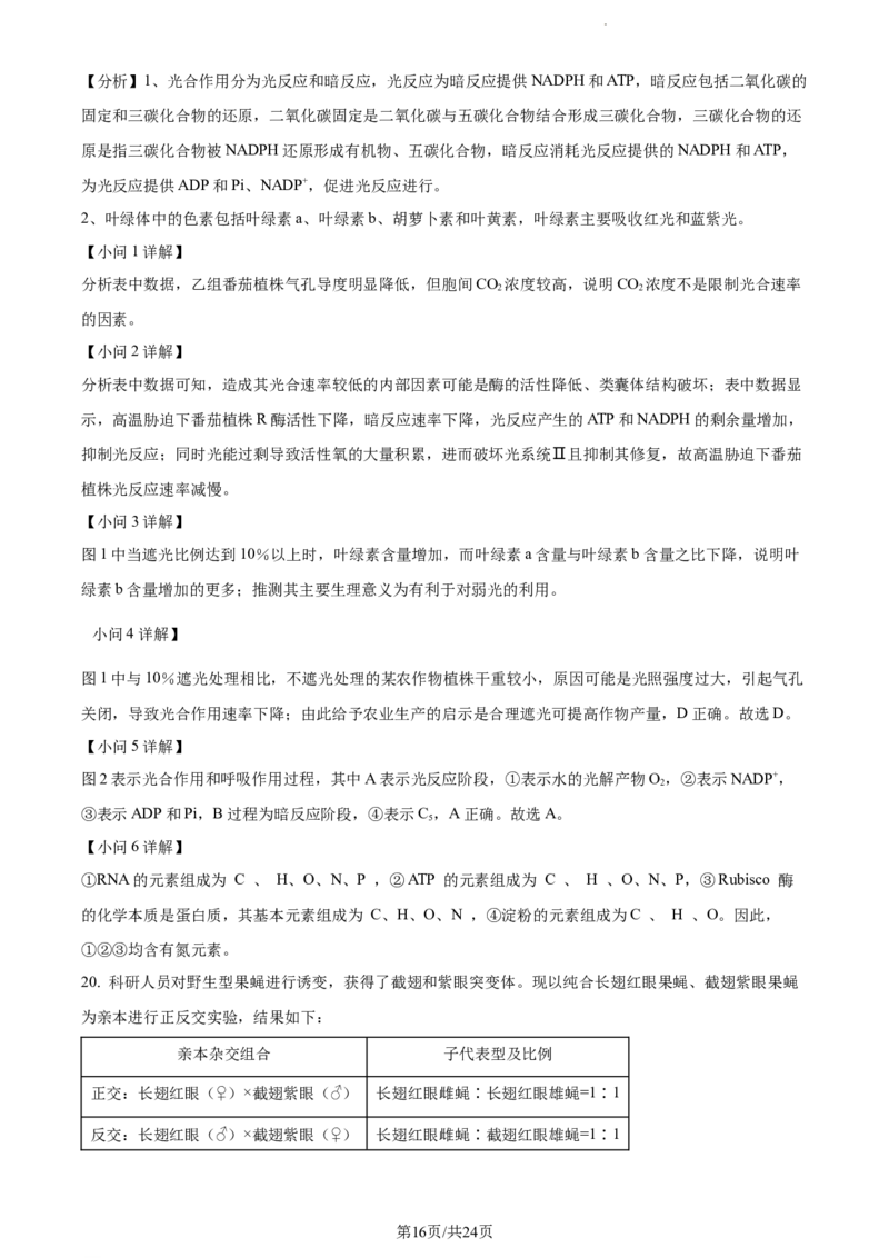 精品解析：江苏省海安高级中学2023-2024学年高三10月月考生物试题（解析版）(1)_2023年10月_0210月合集_2024届江苏省海安高级中学2高三上学期10月月考