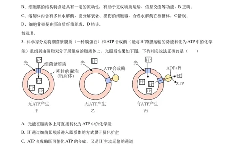精品解析：江苏省海安高级中学2023-2024学年高三10月月考生物试题（解析版）(1)_2023年10月_0210月合集_2024届江苏省海安高级中学2高三上学期10月月考