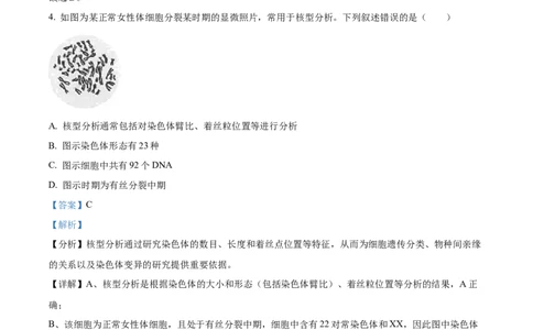 精品解析：江苏省海安高级中学2023-2024学年高三10月月考生物试题（解析版）(1)_2023年10月_0210月合集_2024届江苏省海安高级中学2高三上学期10月月考