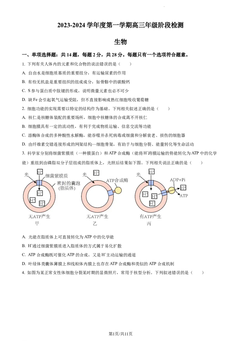 精品解析：江苏省海安高级中学2023-2024学年高三10月月考生物试题（原卷版）(1)_2023年10月_0210月合集_2024届江苏省海安高级中学2高三上学期10月月考