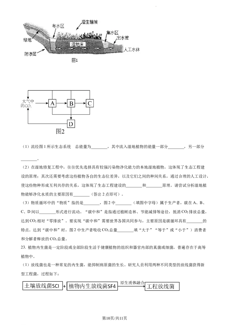 精品解析：江苏省海安高级中学2023-2024学年高三10月月考生物试题（原卷版）(1)_2023年10月_0210月合集_2024届江苏省海安高级中学2高三上学期10月月考