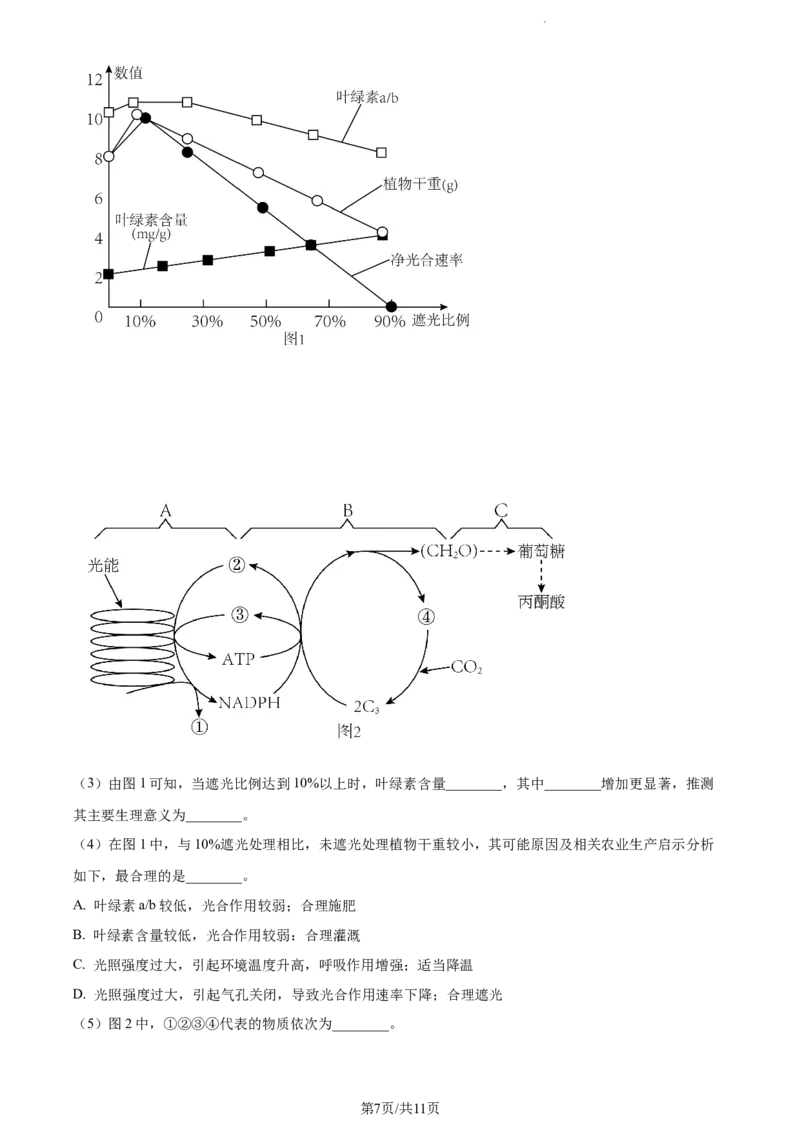 精品解析：江苏省海安高级中学2023-2024学年高三10月月考生物试题（原卷版）(1)_2023年10月_0210月合集_2024届江苏省海安高级中学2高三上学期10月月考