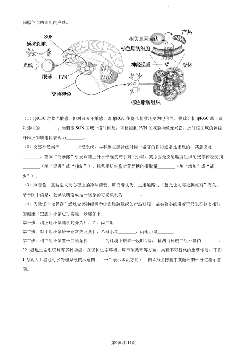 精品解析：江苏省海安高级中学2023-2024学年高三10月月考生物试题（原卷版）(1)_2023年10月_0210月合集_2024届江苏省海安高级中学2高三上学期10月月考