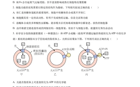 精品解析：江苏省海安高级中学2023-2024学年高三10月月考生物试题（原卷版）(1)_2023年10月_0210月合集_2024届江苏省海安高级中学2高三上学期10月月考