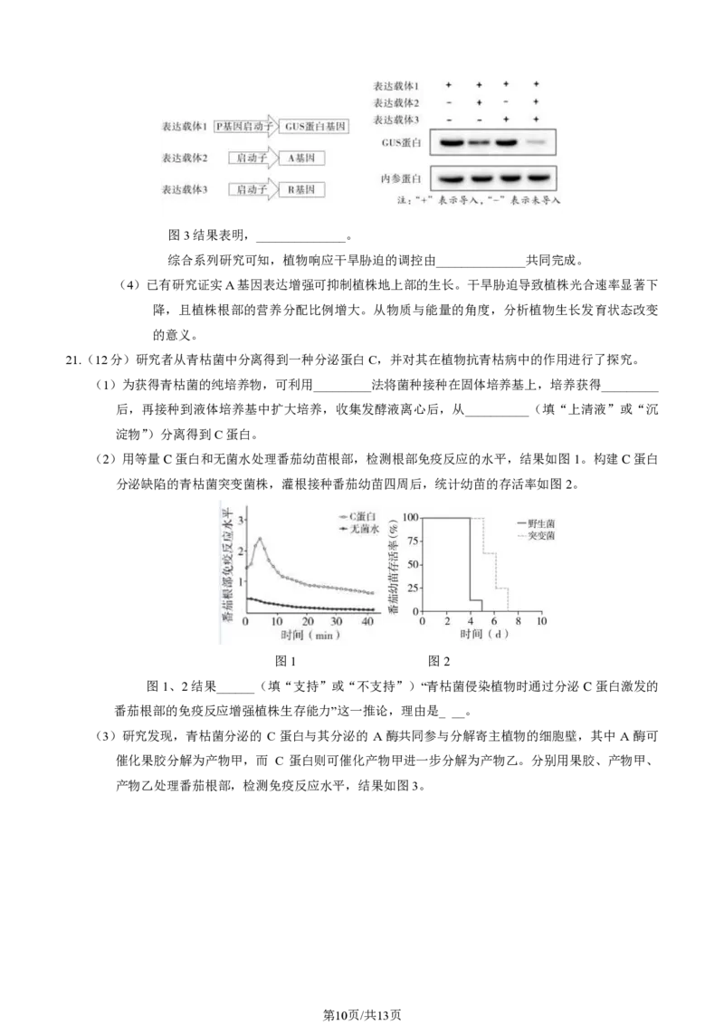 2024北京朝阳高三一模生物试题及答案(1)_2024年4月_024月合集_2024届北京市朝阳区高三一模