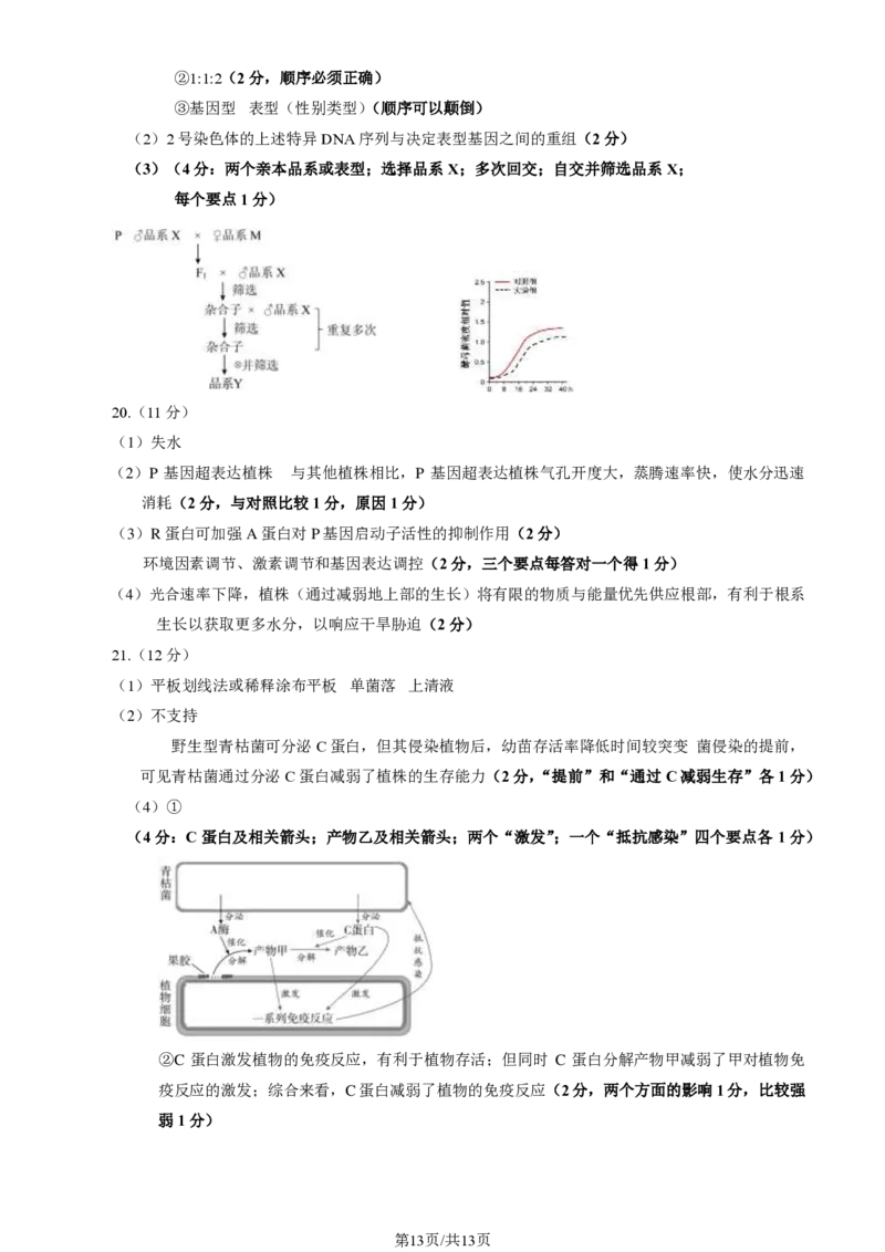 2024北京朝阳高三一模生物试题及答案(1)_2024年4月_024月合集_2024届北京市朝阳区高三一模