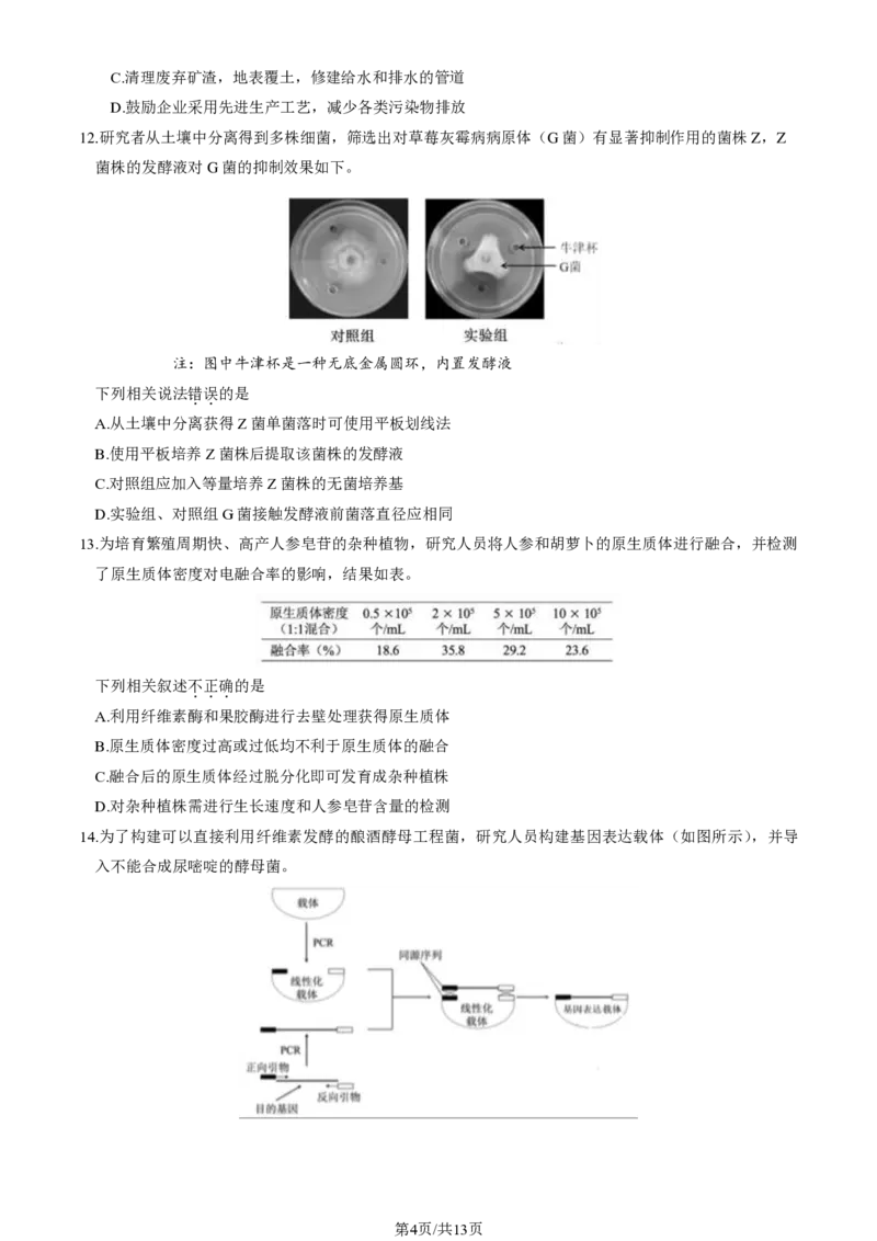 2024北京朝阳高三一模生物试题及答案(1)_2024年4月_024月合集_2024届北京市朝阳区高三一模