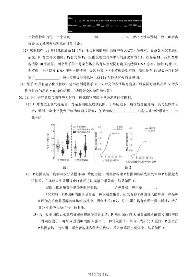 2024北京朝阳高三一模生物试题及答案(1)_2024年4月_024月合集_2024届北京市朝阳区高三一模