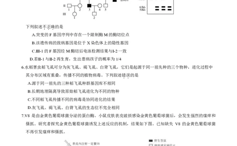 2024北京朝阳高三一模生物试题及答案(1)_2024年4月_024月合集_2024届北京市朝阳区高三一模