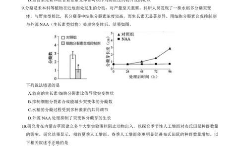 2024北京朝阳高三一模生物试题及答案(1)_2024年4月_024月合集_2024届北京市朝阳区高三一模
