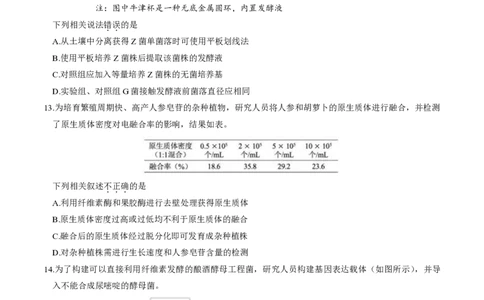 2024北京朝阳高三一模生物试题及答案(1)_2024年4月_024月合集_2024届北京市朝阳区高三一模