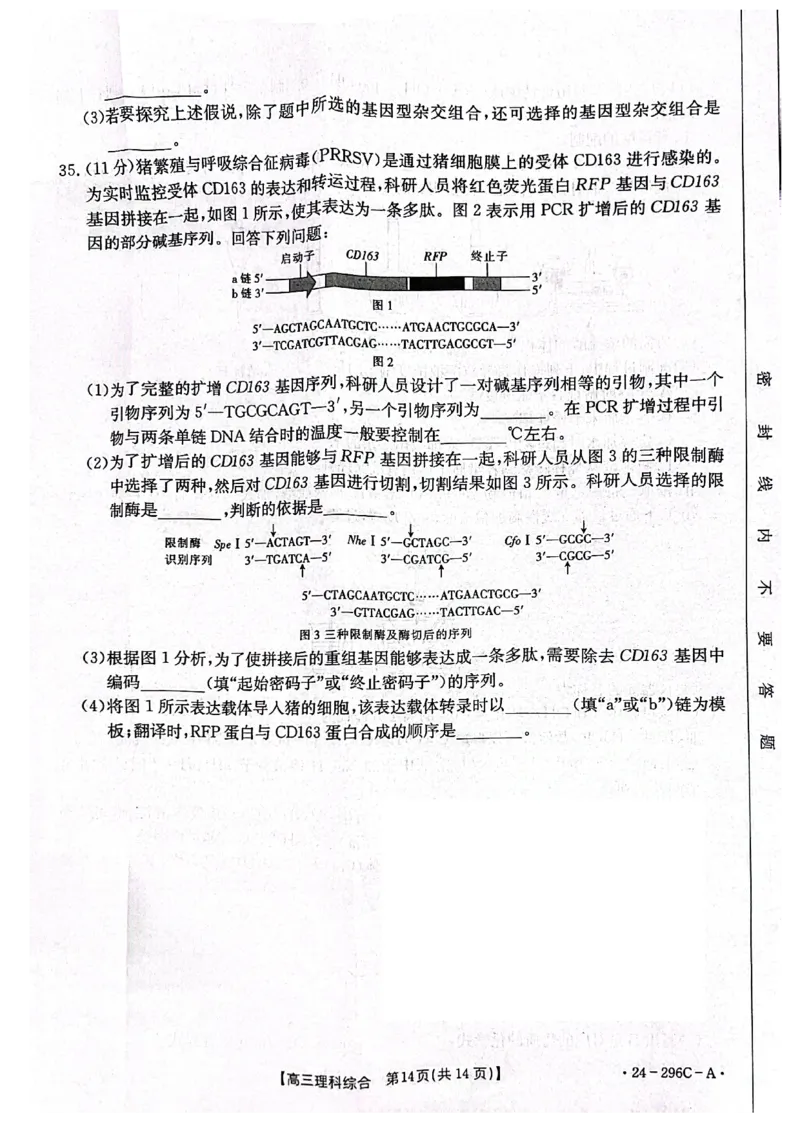 2024届山西省晋城市高三上学期第一次模拟考试理综试题_2024年2月_01每日更新_01号_2024届山西省晋城市高三上学期第一次模拟考试（296C）