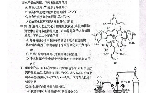2024届山西省晋城市高三上学期第一次模拟考试理综试题_2024年2月_01每日更新_01号_2024届山西省晋城市高三上学期第一次模拟考试（296C）