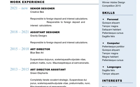 2高端简洁英文CV简历(57)_各类简历_简历模板(1)_英文简历模版86套2025版_