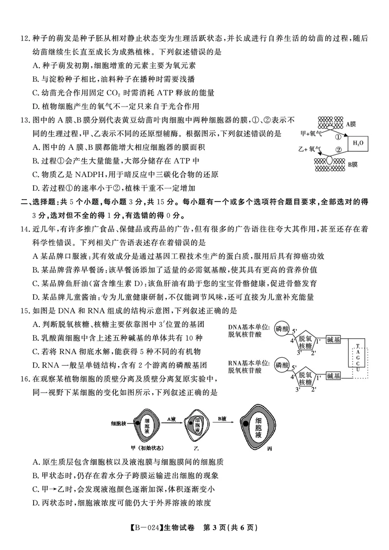 生物试题&middot;2024届高三第二次联考(1)_2023年10月_0210月合集_2024届安徽省皖江名校高三10月阶段性考试_安徽皖江名校联盟2024届高三上学期10月阶段考试生物