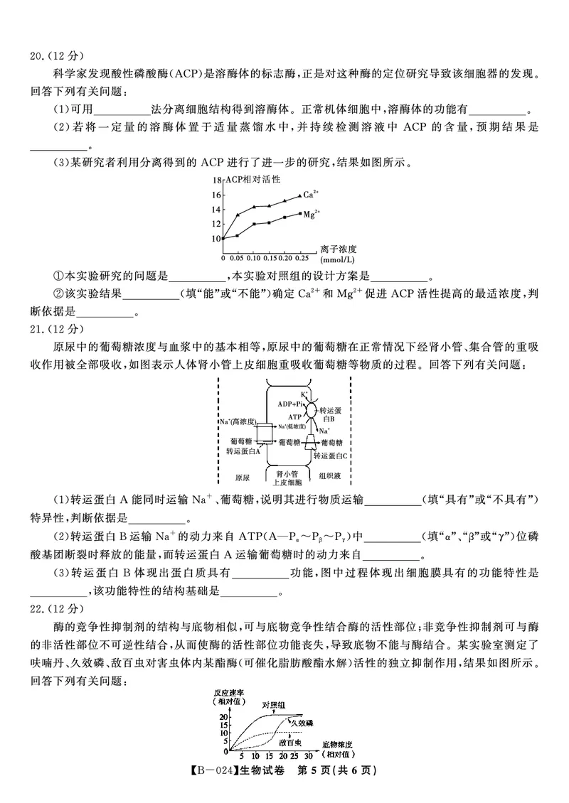 生物试题&middot;2024届高三第二次联考(1)_2023年10月_0210月合集_2024届安徽省皖江名校高三10月阶段性考试_安徽皖江名校联盟2024届高三上学期10月阶段考试生物