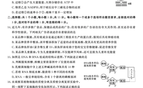 生物试题&middot;2024届高三第二次联考(1)_2023年10月_0210月合集_2024届安徽省皖江名校高三10月阶段性考试_安徽皖江名校联盟2024届高三上学期10月阶段考试生物