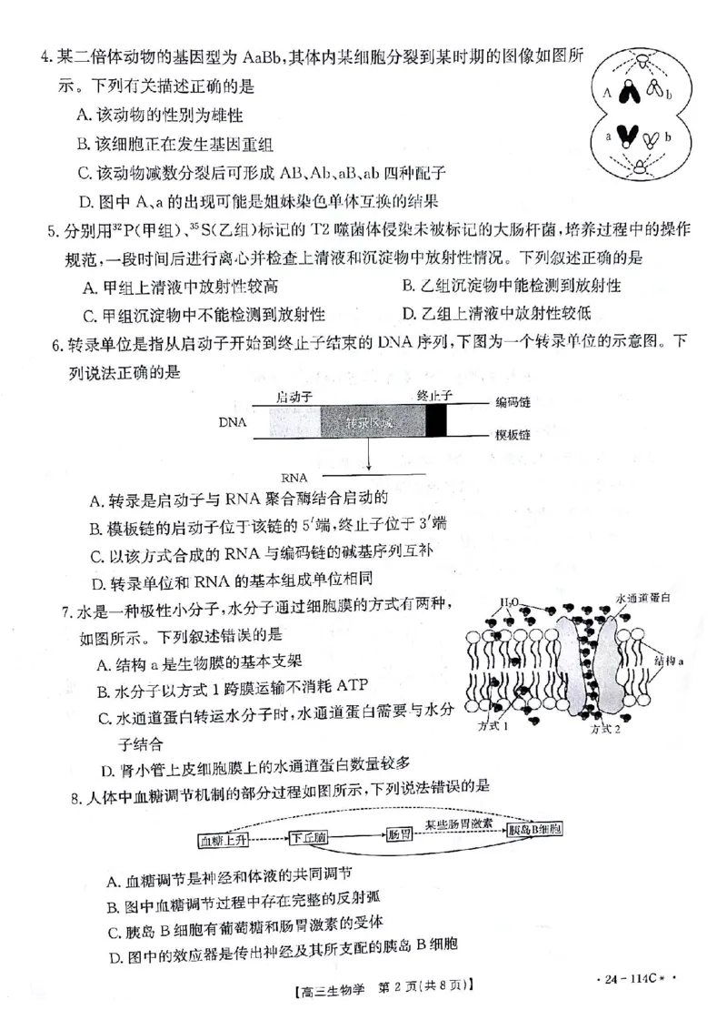 生物(1)_2023年10月_0210月合集_2024届甘肃金太阳高三上学期10月阶段检测（24-114C）_甘肃金太阳2024届高三上学期10月阶段检测（24-114C）生物