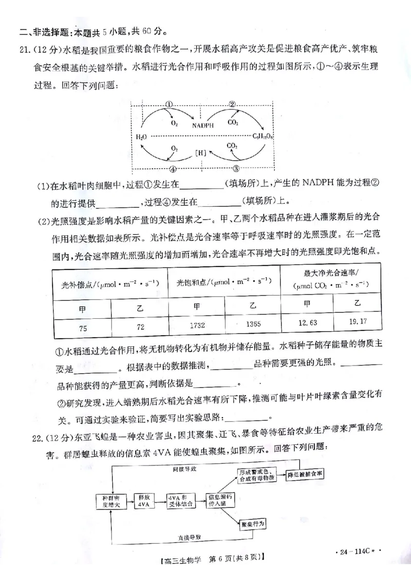 生物(1)_2023年10月_0210月合集_2024届甘肃金太阳高三上学期10月阶段检测（24-114C）_甘肃金太阳2024届高三上学期10月阶段检测（24-114C）生物