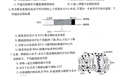 生物(1)_2023年10月_0210月合集_2024届甘肃金太阳高三上学期10月阶段检测（24-114C）_甘肃金太阳2024届高三上学期10月阶段检测（24-114C）生物