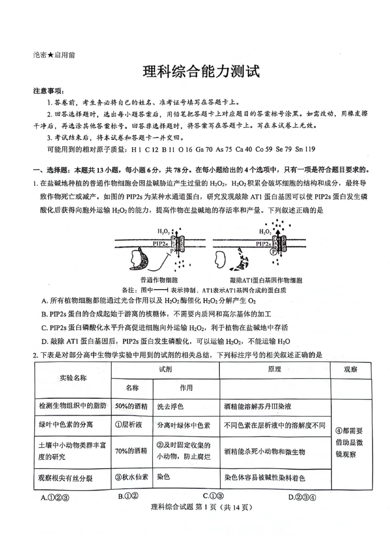 2024届河南省郑州市名校教研联盟高三下学期模拟预测理综试题_2024年3月_013月合集_2024届河南郑州名校教研联盟高三下学期模拟预测