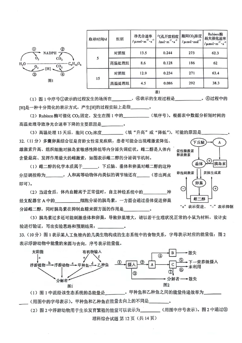 2024届河南省郑州市名校教研联盟高三下学期模拟预测理综试题_2024年3月_013月合集_2024届河南郑州名校教研联盟高三下学期模拟预测