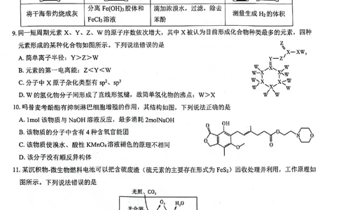 2024届河南省郑州市名校教研联盟高三下学期模拟预测理综试题_2024年3月_013月合集_2024届河南郑州名校教研联盟高三下学期模拟预测