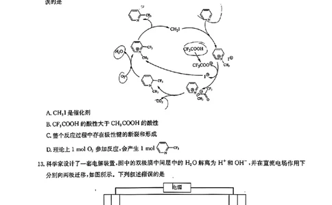 2024届华大新高考联盟高三4月联考-化学+答案(1)_2024年4月_024月合集_2024届华大新高考联盟高三4月联考