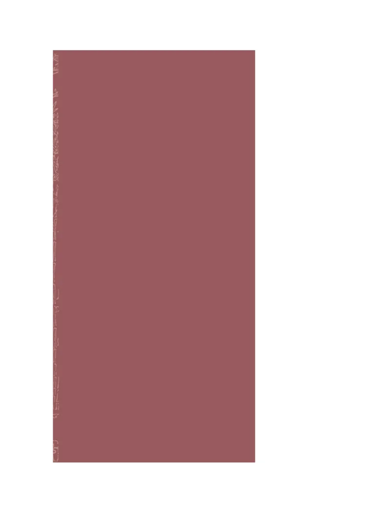 (NEW)红楼梦（人文社权威定本彩皮版）_赠送小初高学霸笔记等_四大名著人民文学出版社_红楼梦