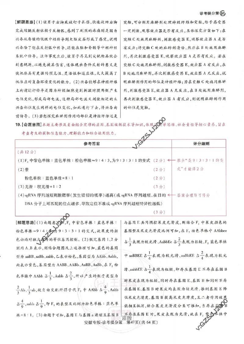 王后雄高考押题预测卷2024安徽专版诊考提分册_2024高考押题卷_22024王hou雄_16王后雄押题_2024年王后雄高考押题预测卷（安徽专版）