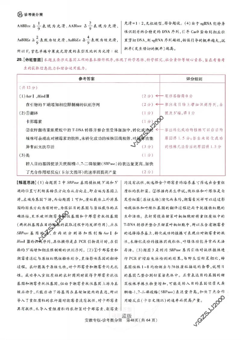 王后雄高考押题预测卷2024安徽专版诊考提分册_2024高考押题卷_22024王hou雄_16王后雄押题_2024年王后雄高考押题预测卷（安徽专版）