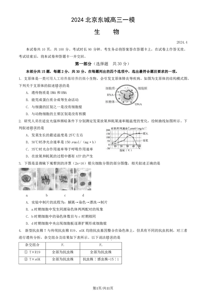 2024北京东城高三一模生物试题及答案(1)_2024年4月_024月合集_2024届北京市东城区高三一模