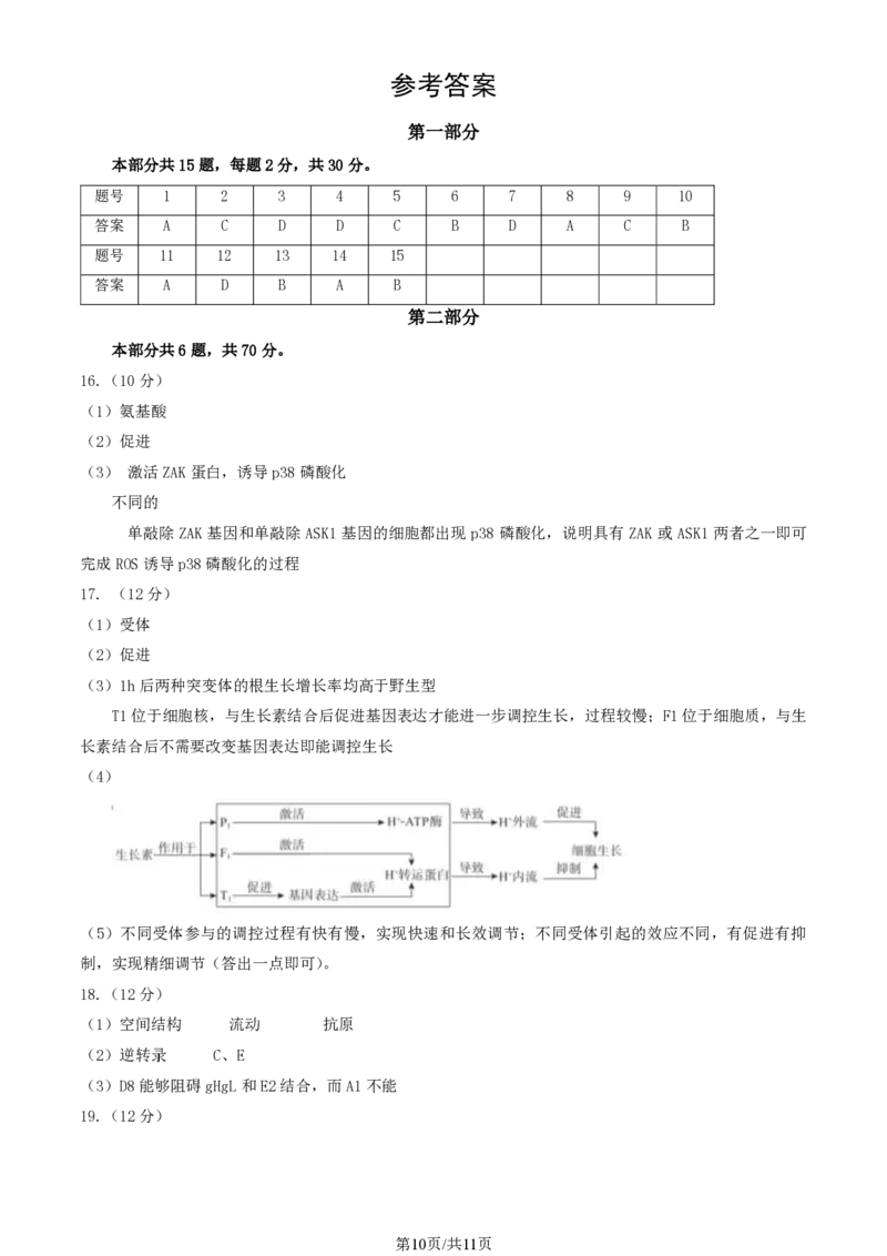 2024北京东城高三一模生物试题及答案(1)_2024年4月_024月合集_2024届北京市东城区高三一模