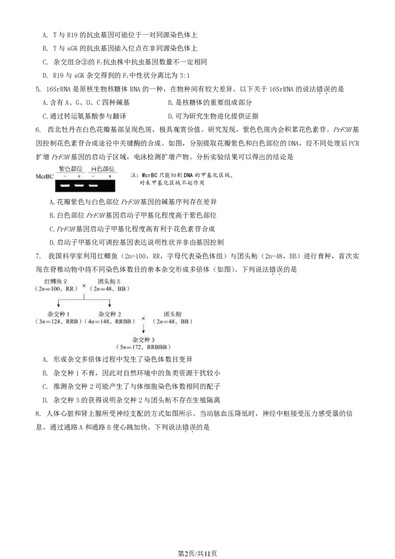 2024北京东城高三一模生物试题及答案(1)_2024年4月_024月合集_2024届北京市东城区高三一模