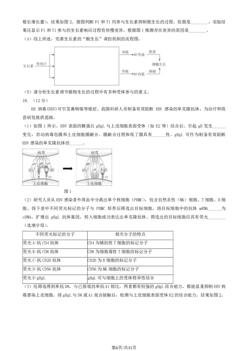 2024北京东城高三一模生物试题及答案(1)_2024年4月_024月合集_2024届北京市东城区高三一模