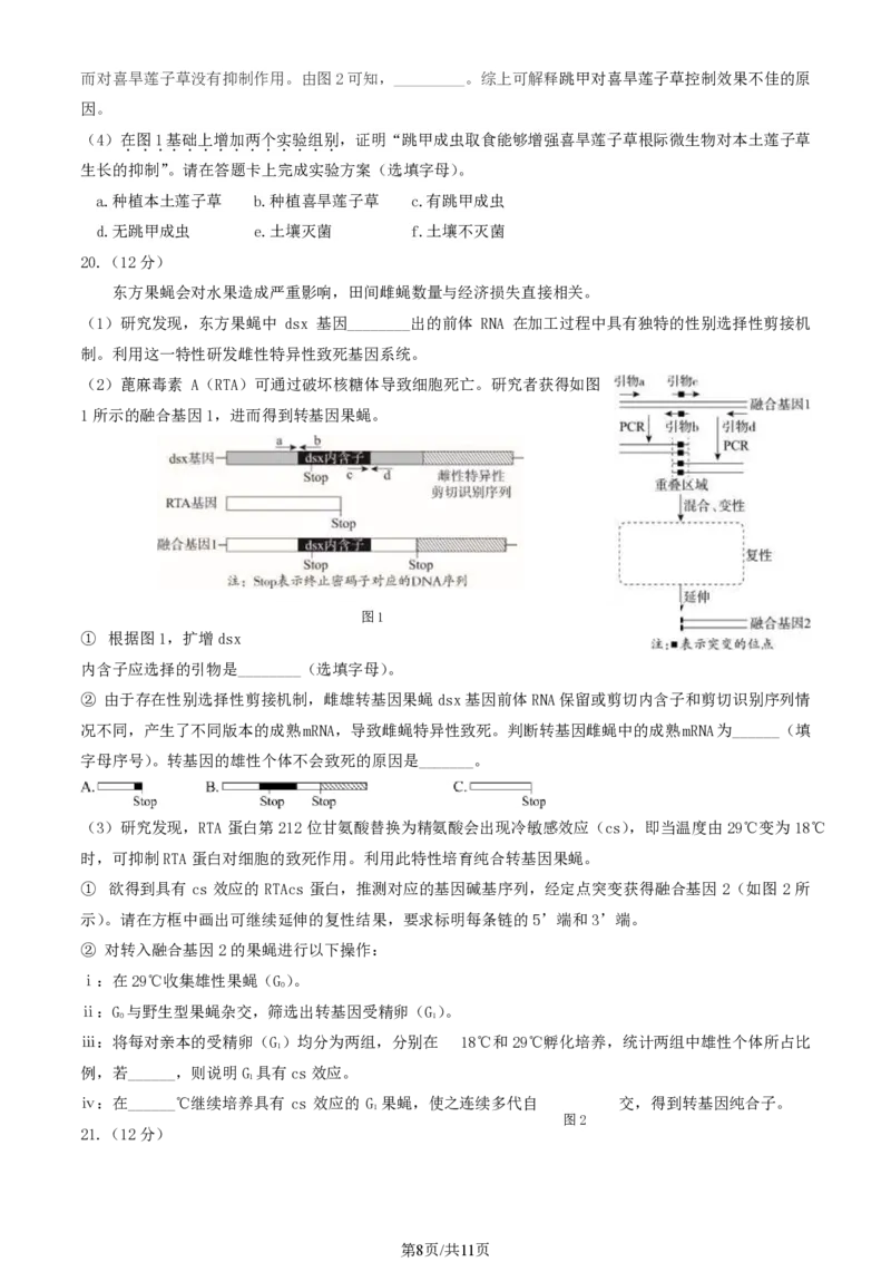 2024北京东城高三一模生物试题及答案(1)_2024年4月_024月合集_2024届北京市东城区高三一模