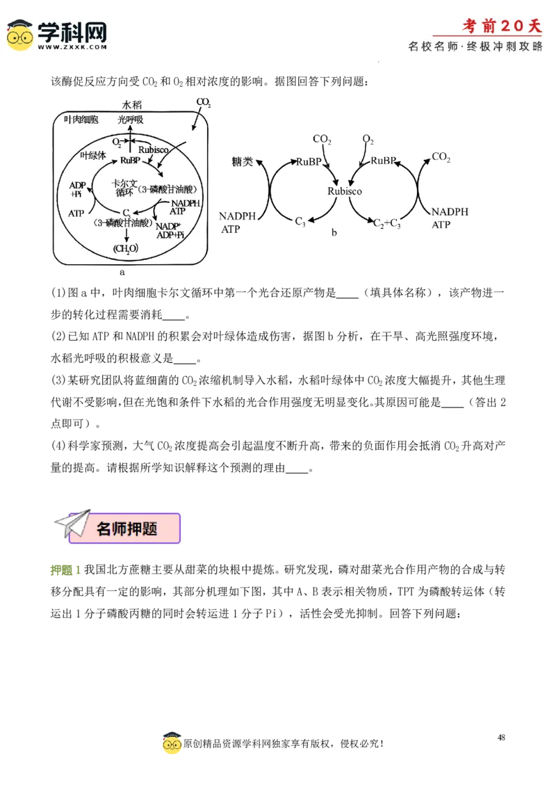生物（一）-2024年高考考前20天终极冲刺攻略_2024高考押题卷_62024学科网全系列_20学科网高考考前终极攻略_生物-2024年高考考前20天终极冲刺攻略