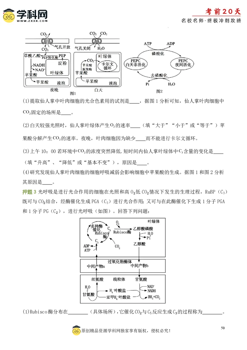 生物（一）-2024年高考考前20天终极冲刺攻略_2024高考押题卷_62024学科网全系列_20学科网高考考前终极攻略_生物-2024年高考考前20天终极冲刺攻略